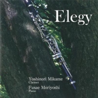 Elegy/三瓶佳紀